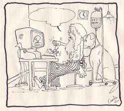 Picture